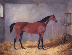 The Duke Of Grafton's Bolivar In A Stable