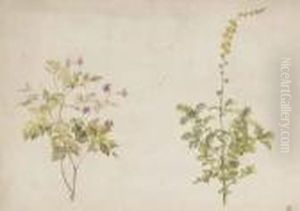 Costume Design: Daphnis Et Chloe - Pan