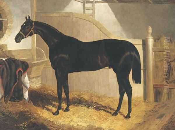 Faugh A Ballagh Winner Of St. Leger 1844 - view 1