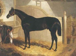 Faugh A Ballagh Winner Of St. Leger 1844 by John Frederick Herring Snr