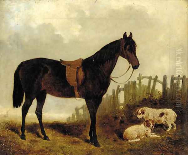 A saddled dark brown hunter with two dogs in a landscape - view 1