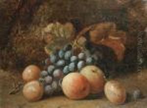 A Still Life Of Apples, Plums And Grapes On A Mossy Ground by Charles Thomas Bale