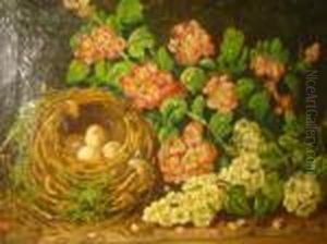 Still Life With Bird Nest And Flowers by Charles Thomas Bale