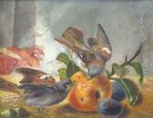 Chaffinches With An Apple And Plums Chaffinches With An Apple And Plums