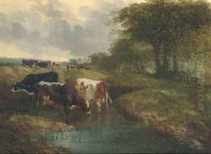 Cattle watering in an extensive landscape