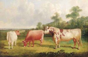 A bull and cows in a wooded landscape by John Frederick Herring Snr