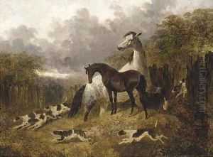A mare and foal with a pack of hounds by John Frederick Herring Snr