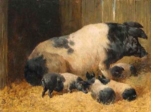 Berkshire Saddlebacks with Piglets in a Farmyard by John Frederick Herring Snr