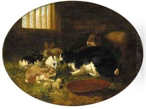 Rabbits in a barn by John Frederick Herring Snr