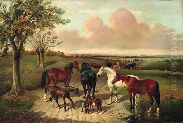 The path to pasture - view 1