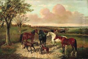 The path to pasture