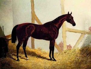 Mr. John Bowe's Bay Colt Cotherstone, by Touchstone out of Emma, in a loosebox by John Frederick Herring Snr
