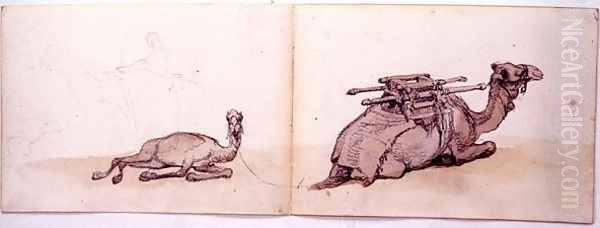 Two sketches of dromedaries - view 1