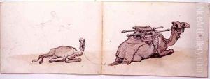 Two sketches of dromedaries Two sketches of dromedaries