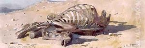 The Bones of a Camel Suez by Carl Haag