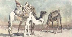Camels at Damascus
