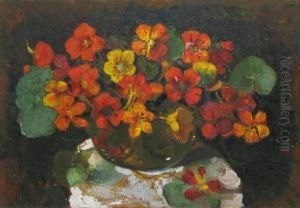 Caltunasi