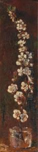 Apple Flowers
