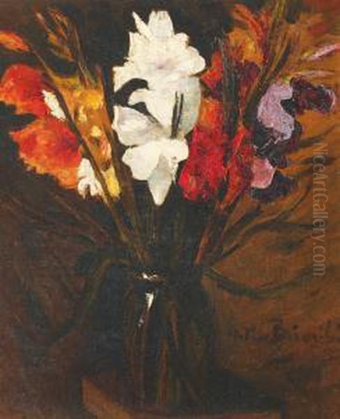 Imperial Gladioli - view 1
