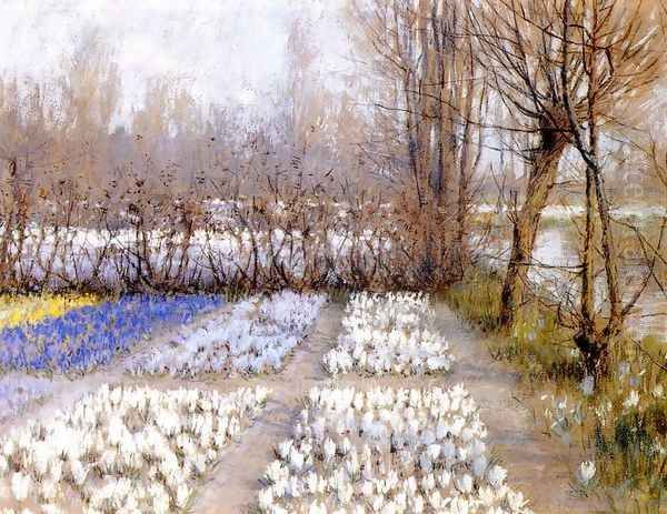 Spring Crosuc Fields - view 1