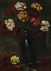 Carnation