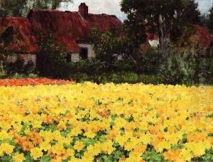 Yellow Nasturtiums Yellow Nasturtiums