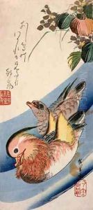 Two Mandarin Ducks