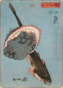 A Catfish with a Limpet from Small Fishes Series