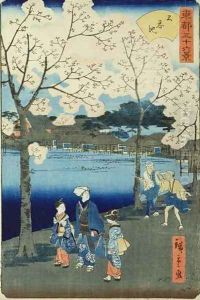 Cherry Blossom
