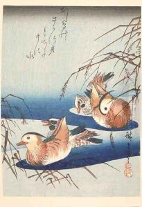 Two Pairs of Mandarin Ducks