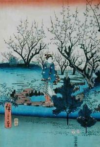 Plum Blossom