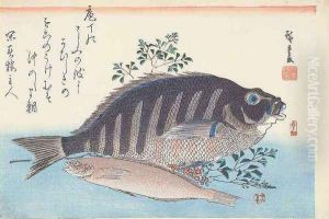 Shimadai and Ainame from the series The Large Fish Utagawa School by Utagawa or Ando Hiroshige