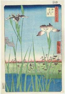 Irises at Horikin No 56 in the series 100 Views of Edo by Utagawa or Ando Hiroshige