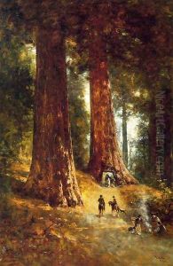 In the Redwoods