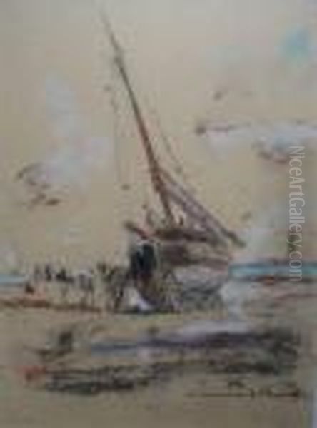 Ramassage Du Goemon - Concarneau - view 1