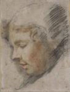 Head Of A Youth In A Black Cap, In Profile To The Left