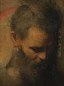 The Head Of A Bearded Man, A Sketch For