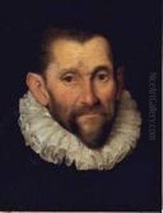Portrait De Gentilhomme A La Fraise by Federico Fiori Barocci