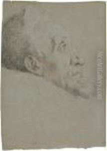Study Of A Man's Head In Profile Study Of A Man's Head In Profile