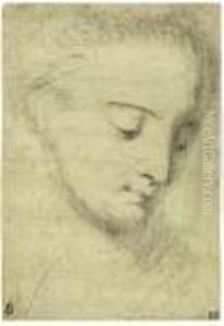 Head Of A Woman