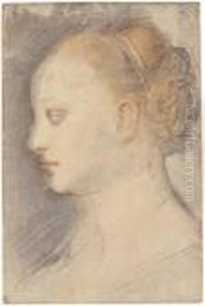 Tete De La Vierge, De Profil A Gauche - view 1