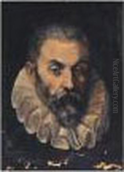 Portrait Of A Gentleman, Head
And Shoulders, Said To Be Guidobaldo Della Rovere, Duke Of Urbino - view 1