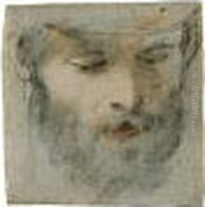 Head Of A Man Looking Down