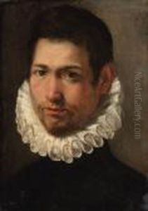 Portrait Of A Young Man, Bust-length, In A White Ruff