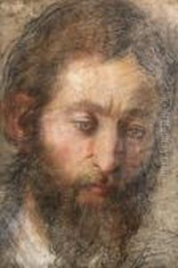 The Head Of A Man Looking Down