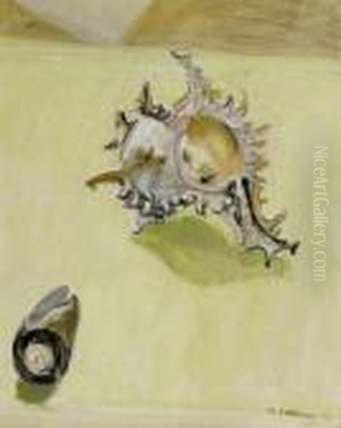 Nature Morte Aux Coquillages ("coquille") - view 1