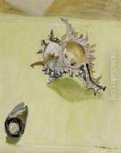 Nature Morte Aux Coquillages ("coquille") by Maurice Barraud