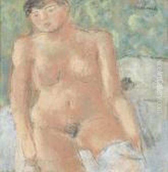 Nu Assis. - view 1