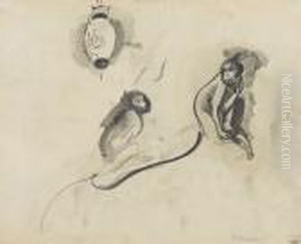 Singes - view 1