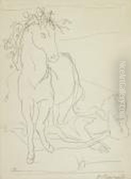 Junge Frau Und Pferd - view 1
